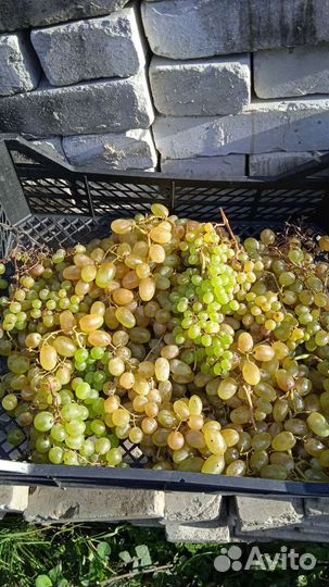 Овощи и фрукты