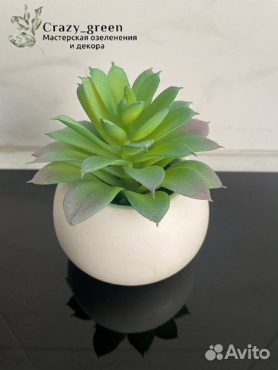 Кактусы и суккуленты искусственные