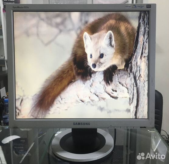 Монитор Samsung SyncMaster 913N