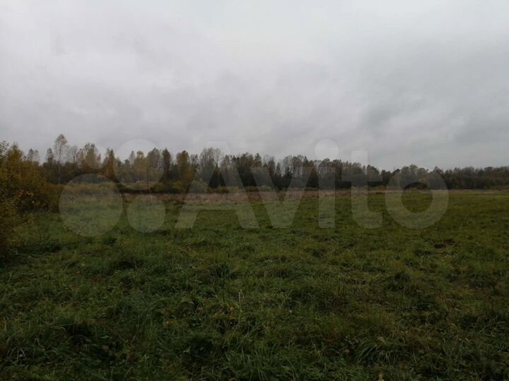 Участок 50 га (СНТ, ДНП)