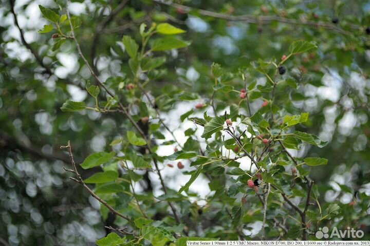 Объектив vivitar 28 90 2.8 nikon zoom macro ef