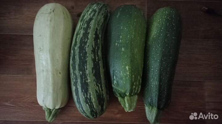 Кабачок