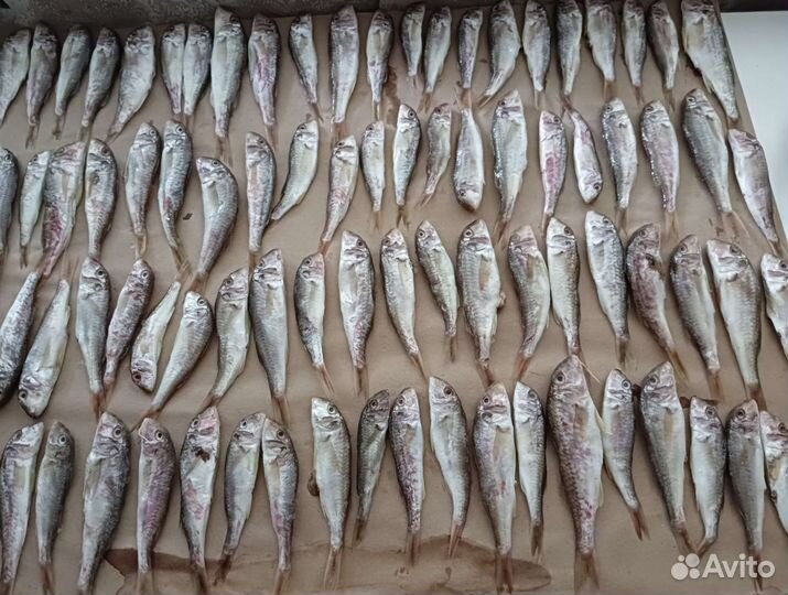 Вяленая рыба Черноморская и х/к под заказ