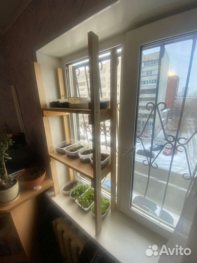 Стеллаж для рассады