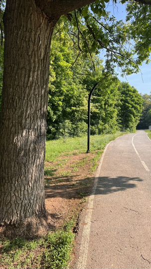 3-к. квартира, 85,3 м², 13/17 эт.