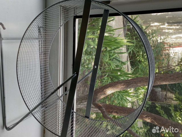Колесо для шиншиллы