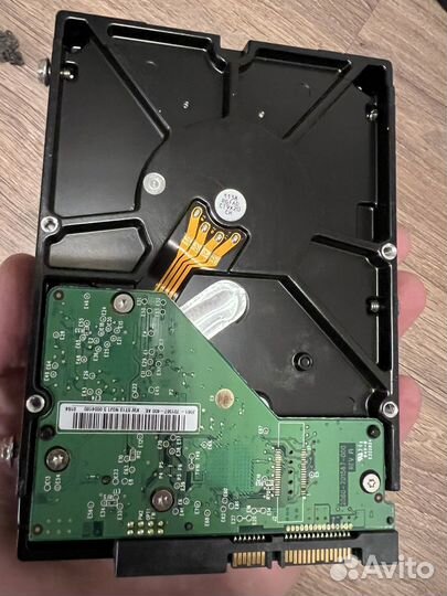 Жесткий диск HDD 3.5 1Tb Western Digital