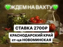 Разнорабочий/Консервный завод/Краснодарский край