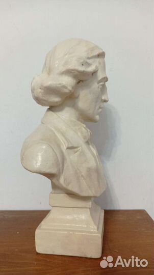 Бюст Н. Г. Чернышевского