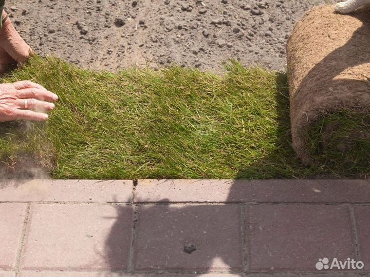 Укладка рулонного газона