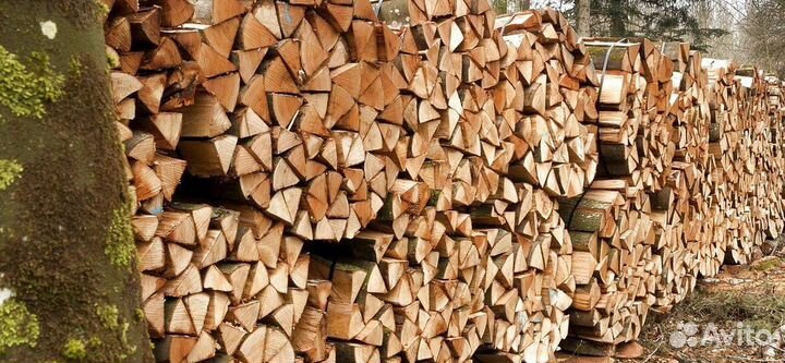 Дрова без гнили