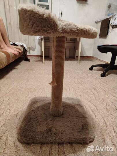 Когтеточка