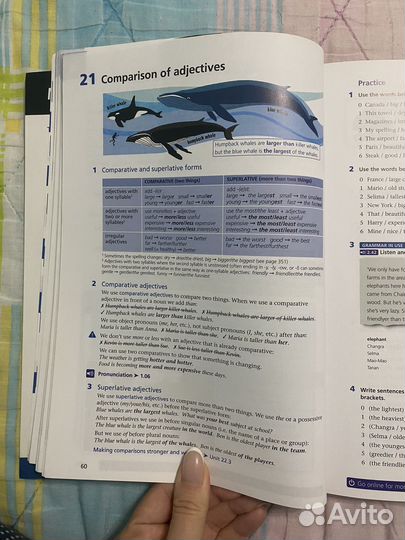 MyGrammarLab b1/b2 intermediate