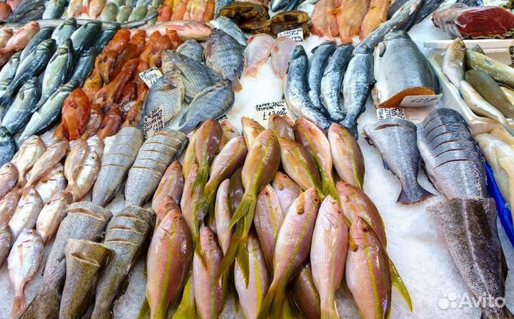 Рыбный бизнес в центре – готов к продаже