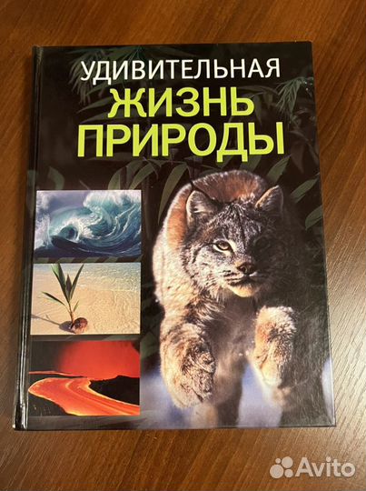 Удивительная жизнь природы