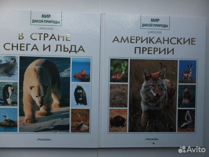 Мир дикой природы Энциклопедия Книги Изд. Росмэн
