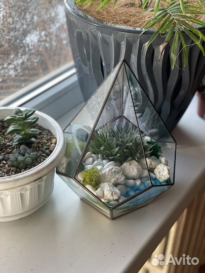 Флорариум Капля