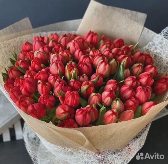 Тюльпаны оптом