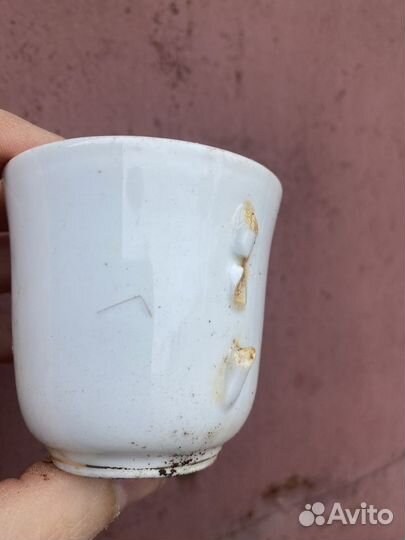 Чашка кенигсберг