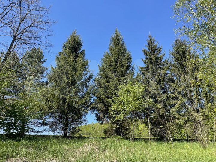 Участок 30 сот. (ИЖС)