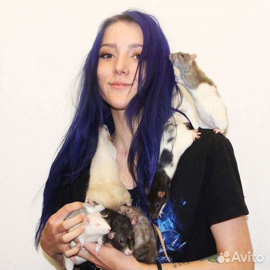 Передержка для грызунов, ёжиков и птичек