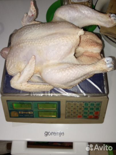 Пшеница ячмень дроблёный комбикорм