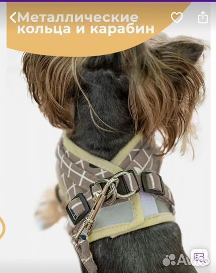 Шлейка для маленьких собак и кошек