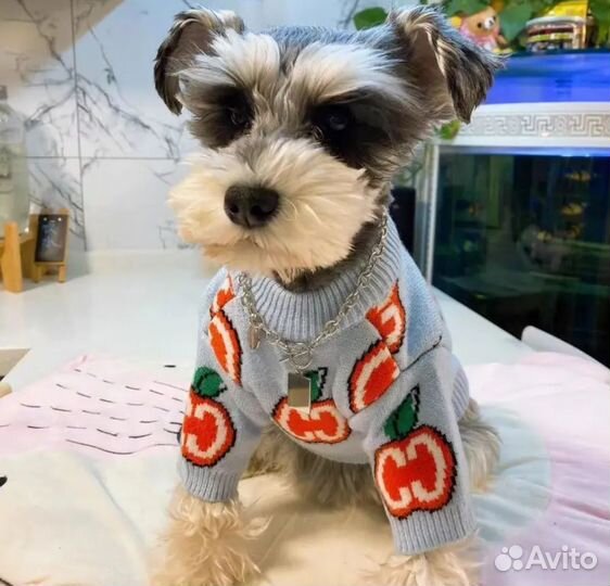 Одежда для животных 21см