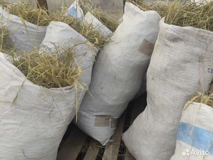 Солома в мешках для мульчирования