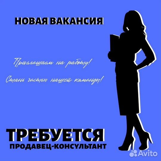 Продавец консультант