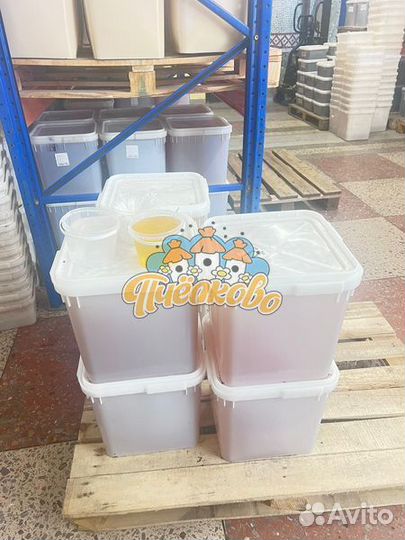 Мёд Белой Акации оптом 2023года