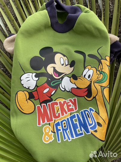 Одежда для маленьких собак