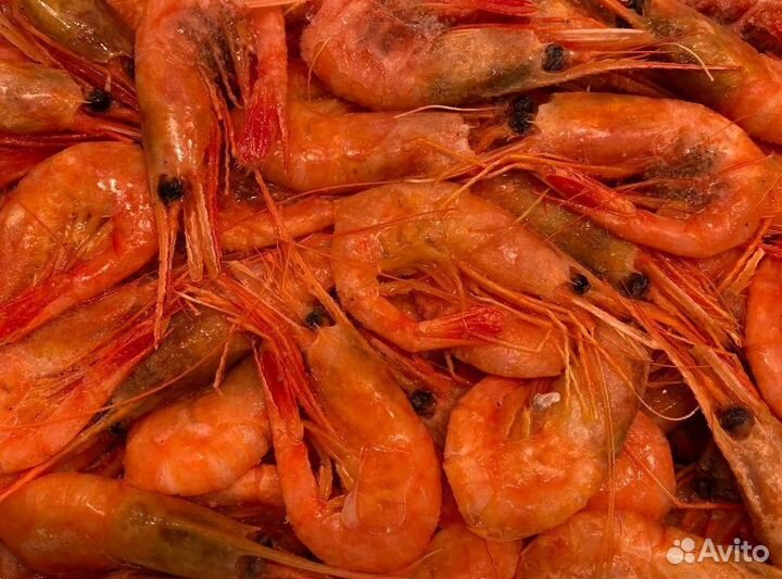 Креветка северная. Свежезамороженные. Опт