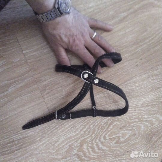 Шлейка + ошейник для небольшой собаки