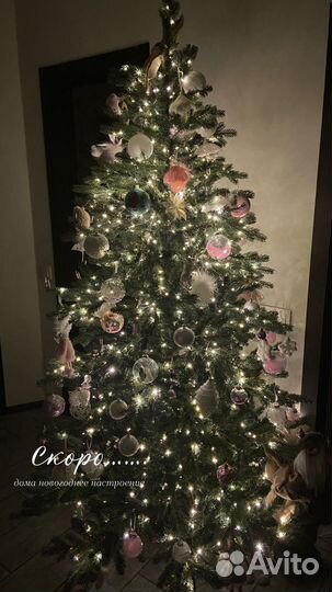 Гирлянда роса 100м