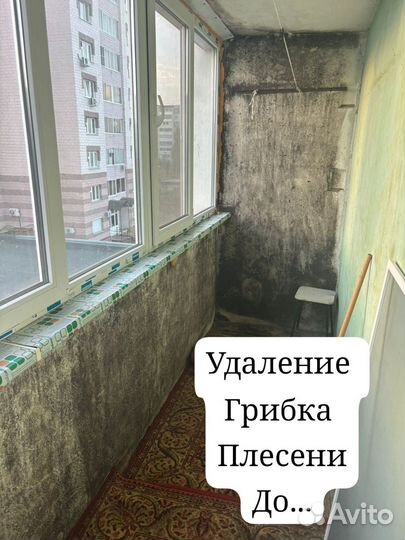 Дезинфекция,дезинсекция тараканы,клоп,мыши