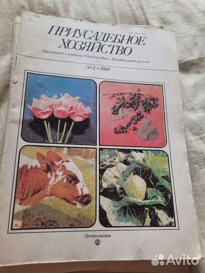 Приусадебное хозяйство