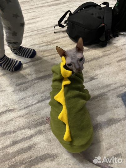 Однжда для кошки s