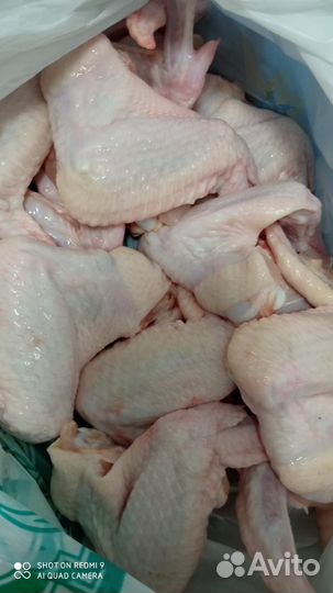 Куриное мясо халяль(крылья,грудка,бедро)