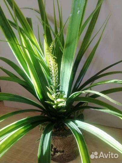 Цветок искусственный