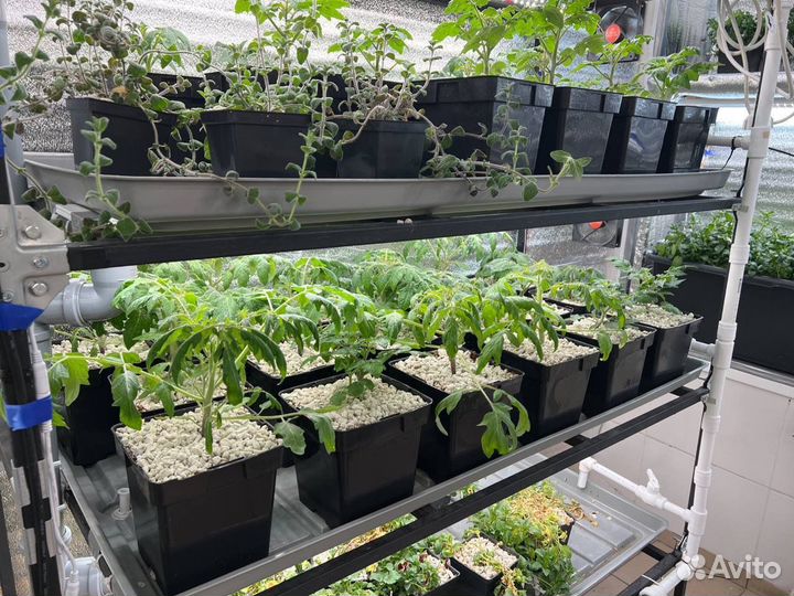 Помогу открыть свой бизнес сити ферму