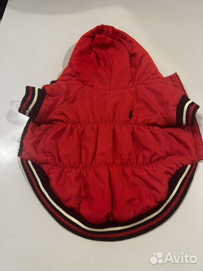 Комбинезон для маленькой собаки