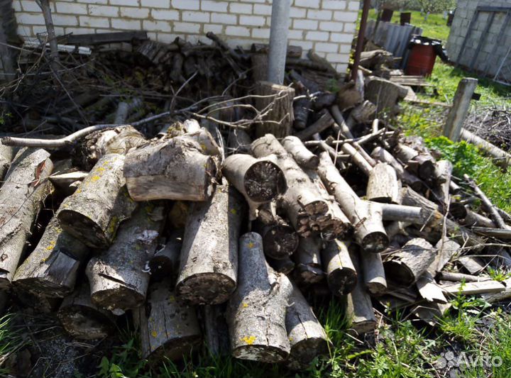 Дрова бесплатно