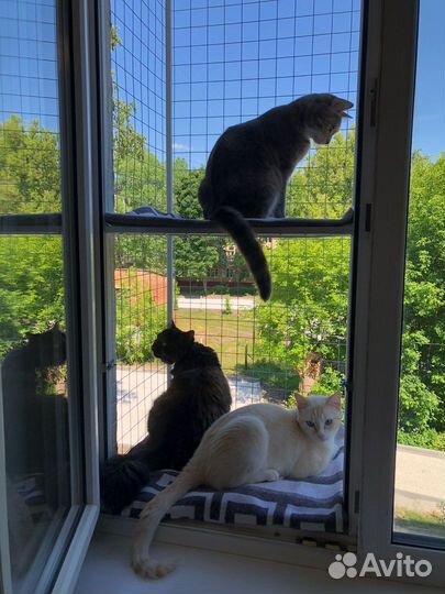 Вольер на окно, балкон для кошки