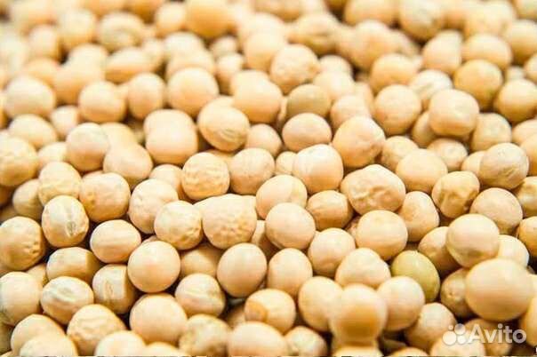 Пшеница ячмень овёс комбикорм, о горох, кукуруза