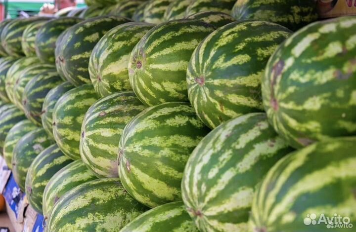 Арбуз оптом