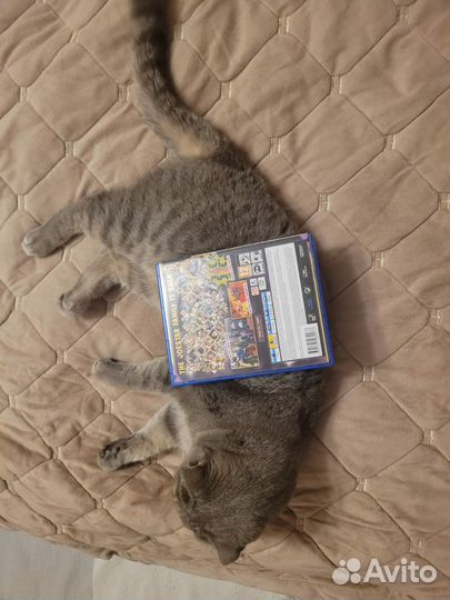 Jojo eyes of heaven ps4 диском