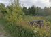 Фото объявления