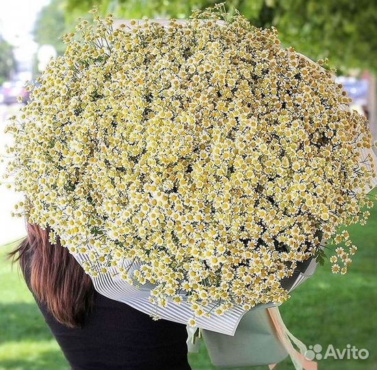 Доставка цветов. Ромашки