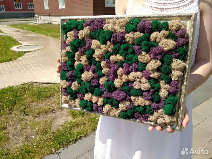 Картины панно стены из стабилизированного мха